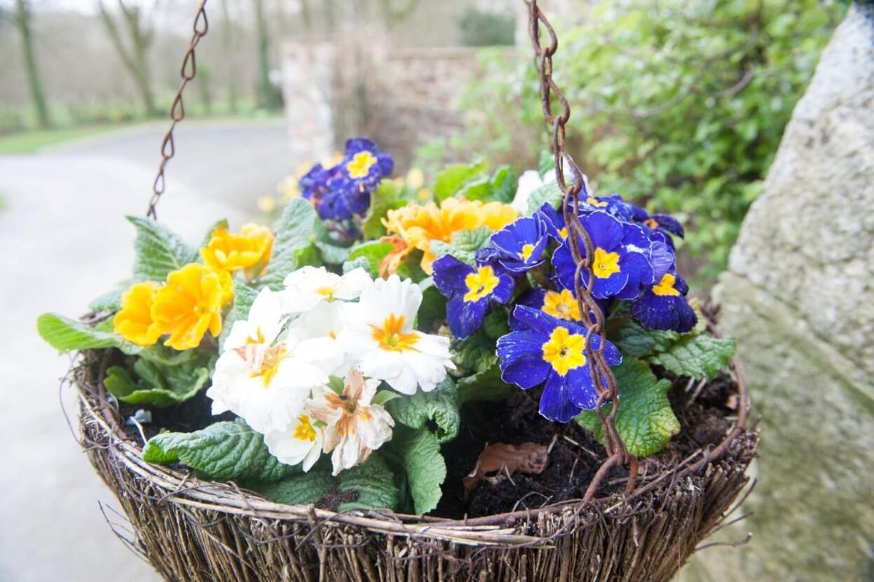Knole Farm Bed and Breakfast Okehampton Buitenkant foto
