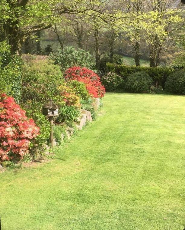 Knole Farm Bed and Breakfast Okehampton Kamer foto